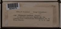 Image Associated With the Occurence